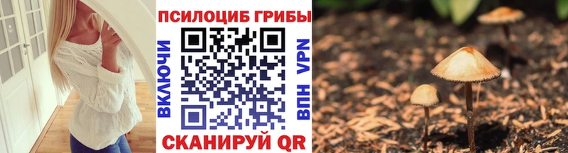 маркетплейс какой сайт  где продают   Медногорск  Галлюциногенные грибы GOLDEN TEACHER 