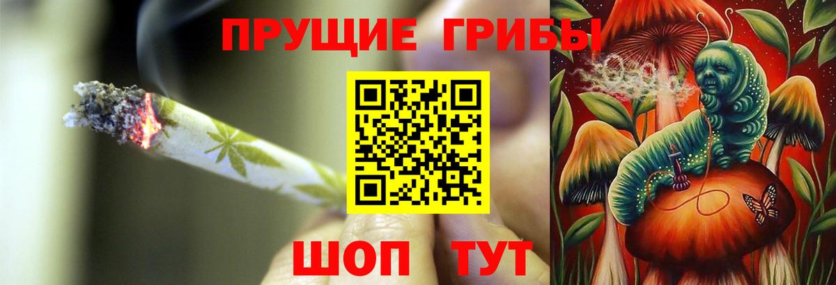 Галлюциногенные грибы мицелий Медногорск